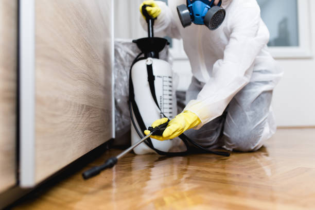 Best Commercial Pest Control Services  in Kettle Falls, WA