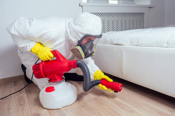 Reliable Kettle Falls, WA Pest Control Solutions